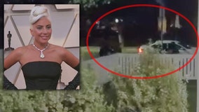 Lady Gaga dognapping may have been part of gang initiation, TMZ reports