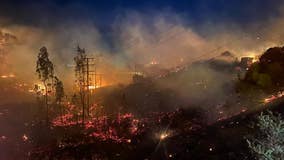 Brush fire burns about five acres in Malibu