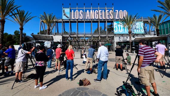 LA Zoo reopens to the public after months-long closure