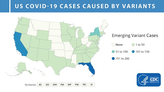 California has the second highest amount of confirmed cases of UK COVID-19 variant in the US