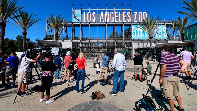 LA Zoo reopens to the public after months-long closure