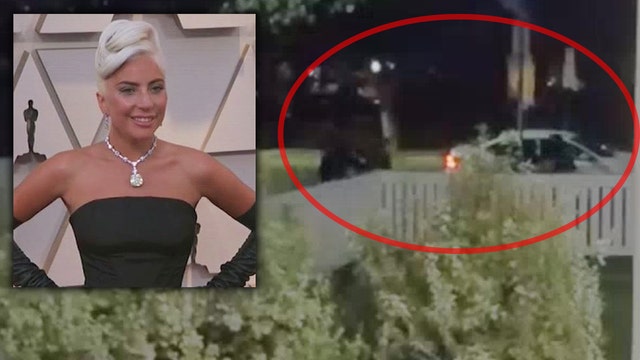 Lady Gaga dognapping may have been part of gang initiation, TMZ reports