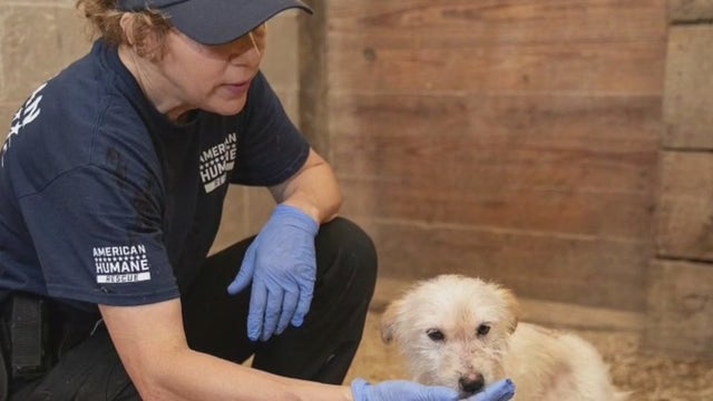 Struggling animal shelters receive help from national 'Feed the Hungry' campaign