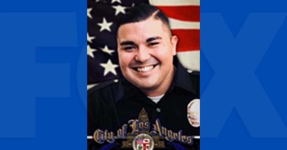 LAPD officer dies days after being hit by car in South Los Angeles ...