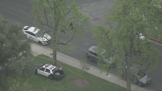 23-year-old accused of stabbing woman, dog to death near San Dimas park