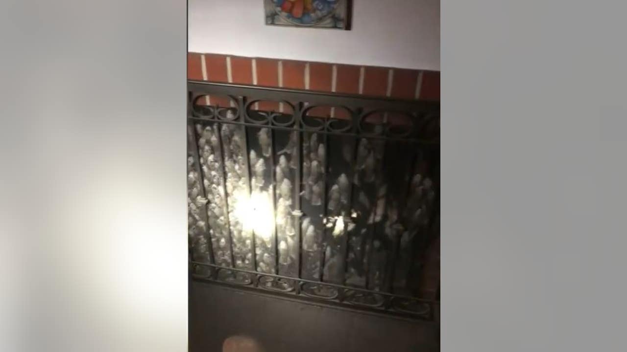 California firefighters release 1,000 small birds that were trapped in chimney California firefighters release 1,000 small birds that were trapped in chimney