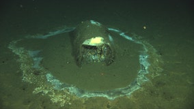 Toxic dump site on ocean floor between Long Beach, Catalina Island much bigger than scientists expected