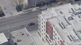 Reckless driver evades police after pursuit through Hollywood