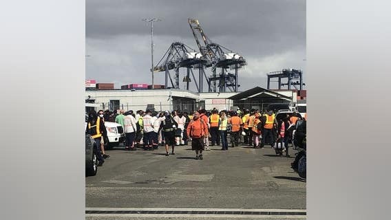 Port of Los Angeles terminal impacted by truck driver strike