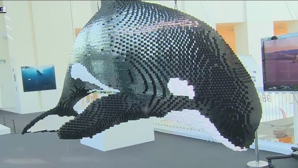 Rediscover the California Science Center