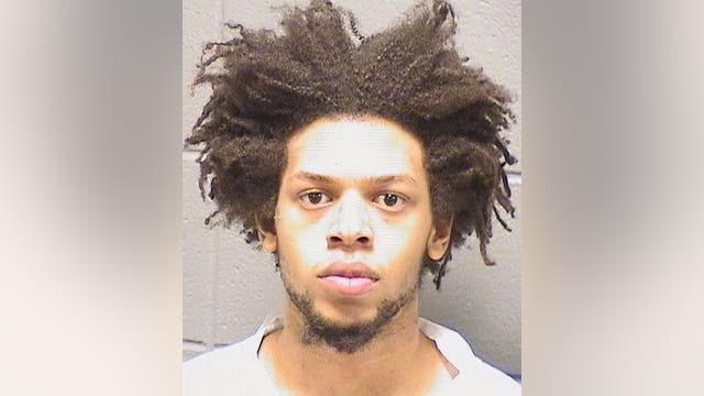 Man used ‘samurai knife’ to kill elderly family member in Bellwood: prosecutors