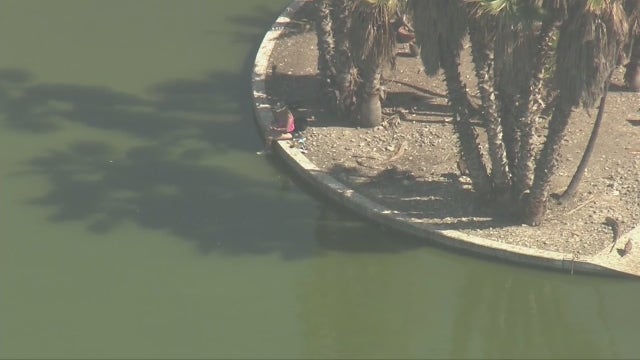 Woman in custody after violent standoff with police at MacArthur Park