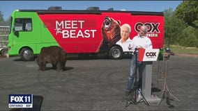 2 GOP California candidates unveil campaign ads for governor in race vs. Newsom