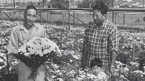 Descanso Gardens honors Japanese Americans during Asian American and Pacific Islander Heritage Month