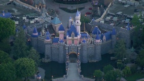 'Disneyland Forward' theme park expansion vote in Anaheim looms