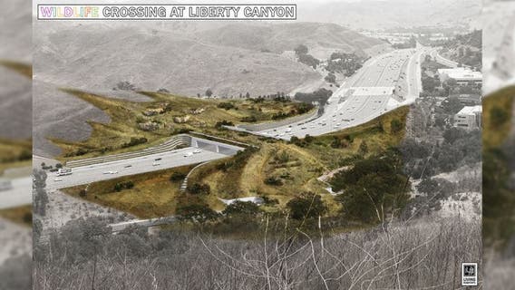 101 Freeway closed nightly at these roads for wildlife crossing project construction