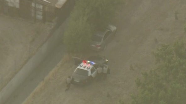 Suspected DUI driver leads deputies on pursuit, ends the chase... at a vineyard