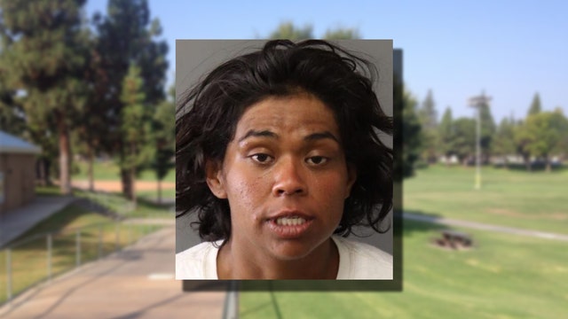 Mom attacked, robbed by homeless woman inside park bathroom while attending soccer game with kids: Police