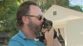 Cat allegedly stolen by Uber Eats driver located, reunited with its owner