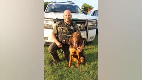 K9 bloodhound finds endangered 6-year-old missing a month