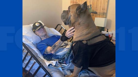 Longtime LA radio host recovers from COVID-19 with beloved 'Tank' by his side