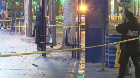 DA's office asks for further investigation of deadly Santa Monica stabbing