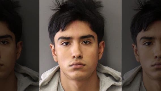 Riverside man admits to torturing puppy, posting video of dying dog to social media