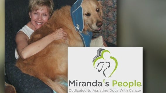 Los Angeles nonprofit helps families struggling to pay for dogs' cancer treatment