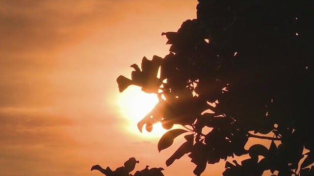 Temperatures soar as heat wave grips Southern California