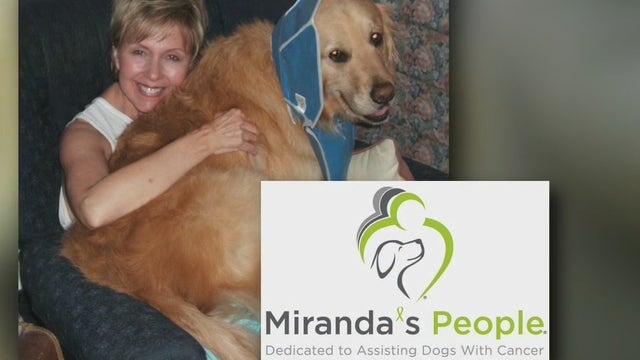 Los Angeles nonprofit helps families struggling to pay for dogs' cancer treatment