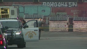 Pursuit suspect struck by police gunfire in downtown Los Angeles