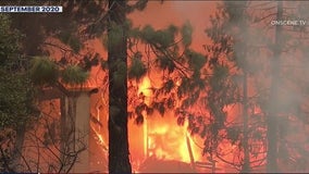 Couple whose gender reveal sparked wildfire charged with involuntary manslaughter