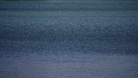 California man goes missing in Colorado River along Arizona campsite