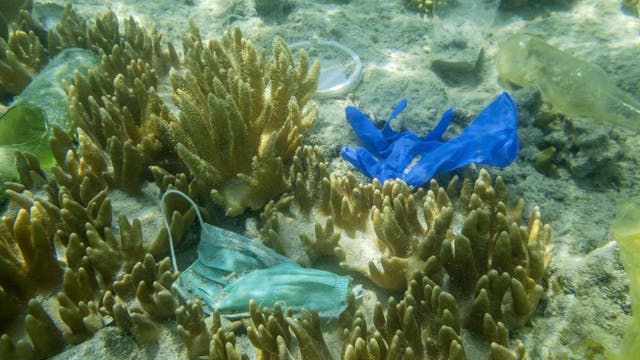Discarded masks, gloves significant source of beach pollution, report says