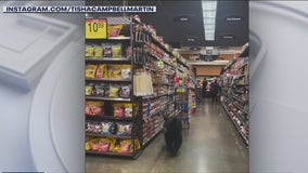 Caught on Camera: Bear casually walks through grocery store in Porter Ranch