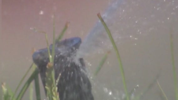 MWD warns serious drought conditions in California counties is 'wakeup call for what lies ahead'