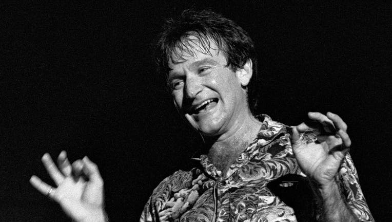 Robin Williams At Chastain Park Amphitheater