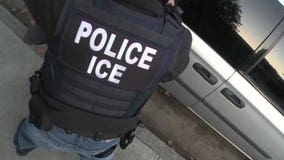 ICE nabs more than two dozen illegal immigrant sex predators, some with child sex offenses, in LA