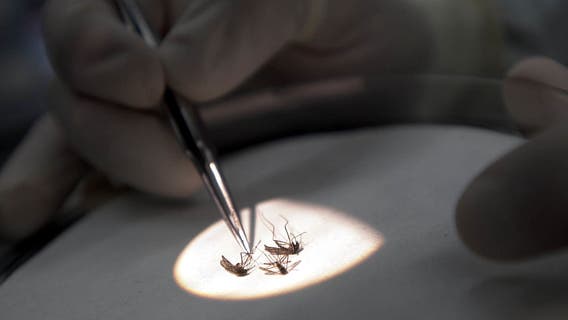 LA County reports first death from West Nile virus this season