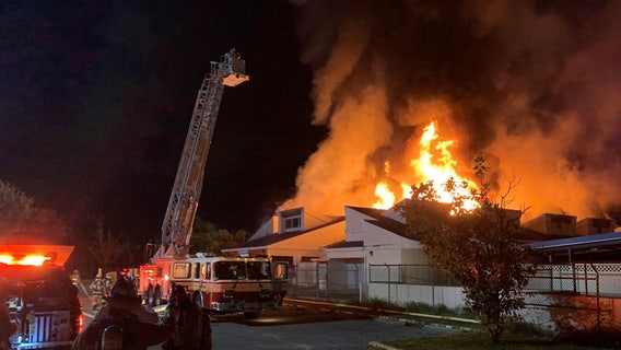 'Worst nightmare': Officials assess damage cause by fire at Pet Alliance of Greater Orlando