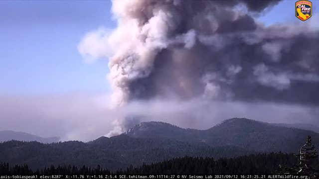 Fires shut Sequoia National Park, could threaten huge trees