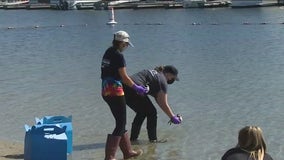 More than 80 birds, fish affected by OC oil spill recovered