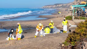 Huntington Beach oil spill victims can apply to federal disaster loans