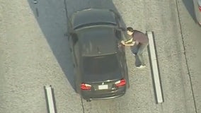 Suspect walks on freeway, carjacks BMW, leads deputies on chase, hides in hotel