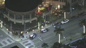 Man shot in Beverly Hills was victim of apparent robbery attempt, police say