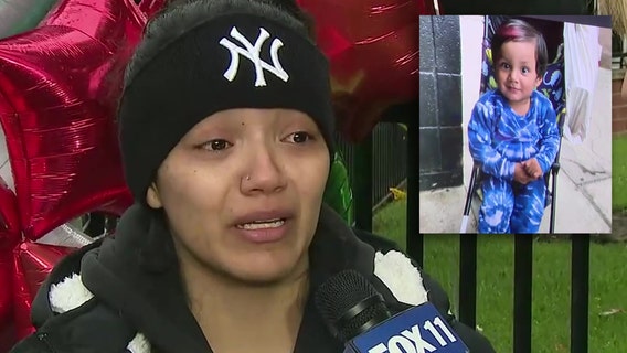 'He deserved the world': Devastated mom thanks community for support after toddler killed in hit-and-run