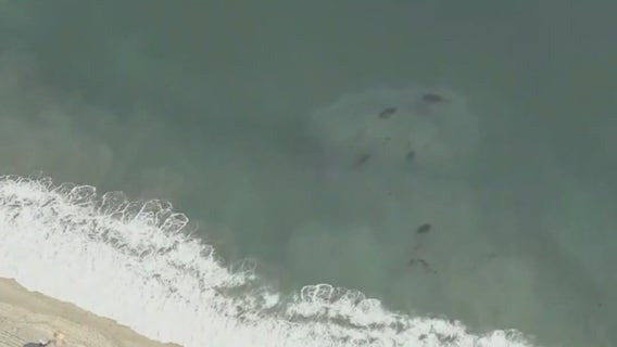 Orange County oil spill: Laguna Beach property owners filing lawsuit