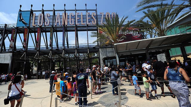 $650M plan would give Los Angeles Zoo theme park-style transformation