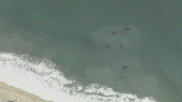 Orange County oil spill: Laguna Beach property owners filing lawsuit