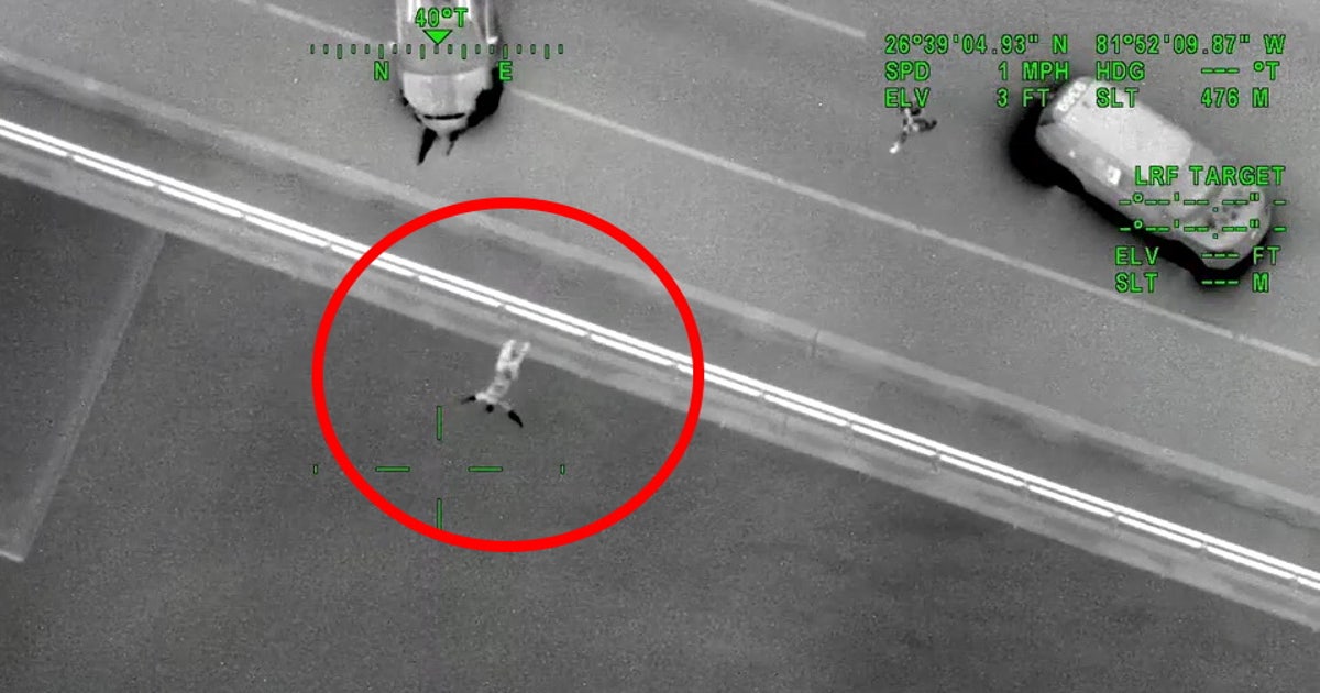 Florida man fleeing from deputies jumps off bridge into river in ...